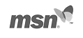 msn logo